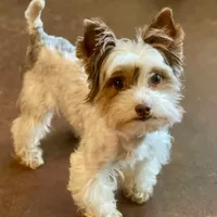 processed/d145e80d-9a6b-4219-866f-14780d45dff8/facility/564b8735-62f9-4293-8f28-aabebed37e1b