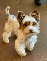 processed/d145e80d-9a6b-4219-866f-14780d45dff8/facility/564b8735-62f9-4293-8f28-aabebed37e1b