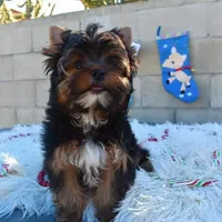 processed/d145e80d-9a6b-4219-866f-14780d45dff8/facility/57bec2f8-a883-40bf-9396-2c48cc3a586f