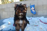 processed/d145e80d-9a6b-4219-866f-14780d45dff8/facility/57bec2f8-a883-40bf-9396-2c48cc3a586f