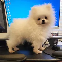 processed/d145e80d-9a6b-4219-866f-14780d45dff8/facility/8def1fa0-3eb2-4a2f-b41b-c96605f020fb