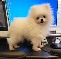 processed/d145e80d-9a6b-4219-866f-14780d45dff8/facility/8def1fa0-3eb2-4a2f-b41b-c96605f020fb