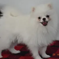 processed/d145e80d-9a6b-4219-866f-14780d45dff8/facility/94a9713a-c837-4902-bbdd-e694a7b012fe