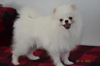 processed/d145e80d-9a6b-4219-866f-14780d45dff8/facility/94a9713a-c837-4902-bbdd-e694a7b012fe