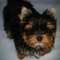 processed/d145e80d-9a6b-4219-866f-14780d45dff8/facility/bb9ab1dc-d73b-4e91-b4ef-203a4c86bb6d