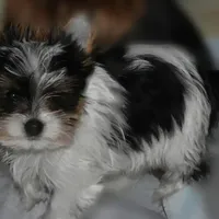 processed/d145e80d-9a6b-4219-866f-14780d45dff8/facility/c5827bac-14be-4f25-8075-a4d8b049068c