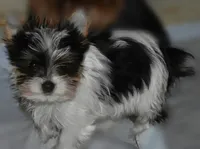 processed/d145e80d-9a6b-4219-866f-14780d45dff8/facility/c5827bac-14be-4f25-8075-a4d8b049068c