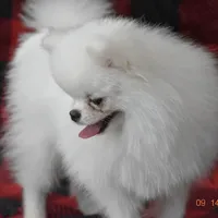 processed/d145e80d-9a6b-4219-866f-14780d45dff8/facility/c9a62c8d-40a9-491e-b9af-d507114dad09