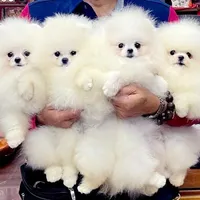 processed/d145e80d-9a6b-4219-866f-14780d45dff8/facility/d17b57c8-854b-4c42-9c11-029090b68c43