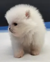 processed/d145e80d-9a6b-4219-866f-14780d45dff8/listing/27b009ee-3032-4f0b-a167-7c6980dab7b0/28bbc06c-1f08-4697-b3d8-25f3c95c57b6