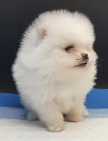 processed/d145e80d-9a6b-4219-866f-14780d45dff8/listing/27b009ee-3032-4f0b-a167-7c6980dab7b0/5f8fa256-6a0d-436e-b4fb-6b19bfa92249