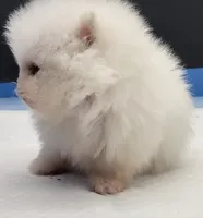 processed/d145e80d-9a6b-4219-866f-14780d45dff8/listing/27b009ee-3032-4f0b-a167-7c6980dab7b0/7d24b637-e56f-45b4-90e7-4345e6ffca7b