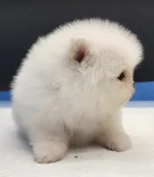 processed/d145e80d-9a6b-4219-866f-14780d45dff8/listing/27b009ee-3032-4f0b-a167-7c6980dab7b0/c7eed139-27b3-4cff-b545-135212686cec