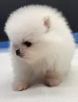 processed/d145e80d-9a6b-4219-866f-14780d45dff8/listing/27b009ee-3032-4f0b-a167-7c6980dab7b0/cde4fd3d-5c3e-476a-baf8-c69deae4936c