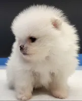 processed/d145e80d-9a6b-4219-866f-14780d45dff8/listing/27b009ee-3032-4f0b-a167-7c6980dab7b0/ec07953c-2cb7-4dfb-95f8-5d6161dae3d9