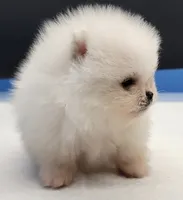 processed/d145e80d-9a6b-4219-866f-14780d45dff8/listing/27b009ee-3032-4f0b-a167-7c6980dab7b0/ec3f9308-1acf-4a30-a724-98761dacfe68