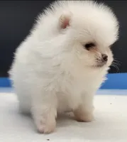 processed/d145e80d-9a6b-4219-866f-14780d45dff8/listing/27b009ee-3032-4f0b-a167-7c6980dab7b0/fd2e5213-c9cd-4e3b-afb3-1bbd4dc08f2c