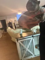 processed/d14f03fd-ec12-4445-98e4-faf525235aed/listing/1e95ed08-d714-4951-8a01-1a25a9431aac/7cea43d9-e50a-4799-b553-411fd733334b