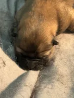 processed/d14f03fd-ec12-4445-98e4-faf525235aed/listing/31370e63-9ee3-4b0d-aca0-711ebd934bce/0eb2b52e-5a58-40a5-9af3-df2a50a2cf2e