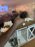 processed/d14f03fd-ec12-4445-98e4-faf525235aed/listing/31370e63-9ee3-4b0d-aca0-711ebd934bce/7f0a121b-0359-4ad2-8de5-ec98721af357