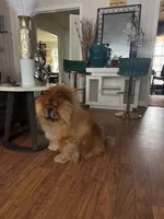 processed/d14f03fd-ec12-4445-98e4-faf525235aed/listing/31370e63-9ee3-4b0d-aca0-711ebd934bce/c26a2509-010d-4555-829f-3abf8cd98cdb