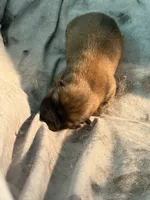 processed/d14f03fd-ec12-4445-98e4-faf525235aed/listing/79c8f457-2444-4f22-a17e-8317efa0deac/2c3ec309-8754-49de-96ee-42db23a8983c