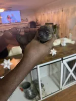 processed/d14f03fd-ec12-4445-98e4-faf525235aed/listing/79c8f457-2444-4f22-a17e-8317efa0deac/3e53bcfd-a0c0-407c-977b-3a8531f4d288