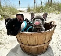 processed/d1700b69-e3e7-4a73-b411-e3296c068868/facility/20312943-868a-4402-945a-a51c222bad19