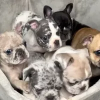 processed/d1700b69-e3e7-4a73-b411-e3296c068868/facility/46c3dbbb-bac3-4be0-873d-6c83d3be5713