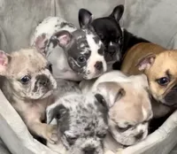 processed/d1700b69-e3e7-4a73-b411-e3296c068868/facility/46c3dbbb-bac3-4be0-873d-6c83d3be5713