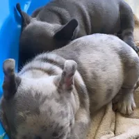 processed/d1700b69-e3e7-4a73-b411-e3296c068868/facility/5f000c39-8ab4-4470-a09d-176390cd711a