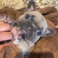 processed/d1700b69-e3e7-4a73-b411-e3296c068868/facility/60474758-f2e3-407b-a3e0-10eec5ce7c61