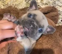 processed/d1700b69-e3e7-4a73-b411-e3296c068868/facility/60474758-f2e3-407b-a3e0-10eec5ce7c61