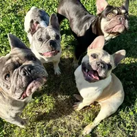 processed/d1700b69-e3e7-4a73-b411-e3296c068868/facility/73326700-e251-4e3b-8e82-e88e8e1af898