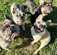 processed/d1700b69-e3e7-4a73-b411-e3296c068868/facility/73326700-e251-4e3b-8e82-e88e8e1af898