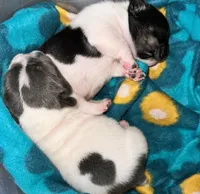 processed/d1700b69-e3e7-4a73-b411-e3296c068868/facility/7bfed5d1-b78e-41d6-a082-b253d0a37ae1