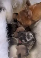 processed/d1700b69-e3e7-4a73-b411-e3296c068868/facility/be9ec9ec-0f4e-44c0-9464-d07073f09eb8