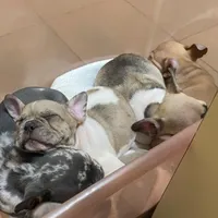 processed/d1700b69-e3e7-4a73-b411-e3296c068868/facility/dc9ce7a0-f0b0-4255-aaad-16a376ba37e5