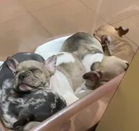 processed/d1700b69-e3e7-4a73-b411-e3296c068868/facility/dc9ce7a0-f0b0-4255-aaad-16a376ba37e5