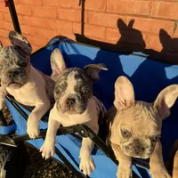 processed/d1700b69-e3e7-4a73-b411-e3296c068868/facility/dfd1fa33-c456-4bf1-8c9e-6d7e0fb9b9f3