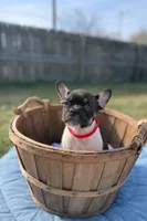 processed/d1700b69-e3e7-4a73-b411-e3296c068868/listing/0d649727-8fad-4d73-86db-c7a9ee0339d1/29508a2a-b144-4d3a-9db2-2c1b9dbad192