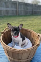 processed/d1700b69-e3e7-4a73-b411-e3296c068868/listing/0d649727-8fad-4d73-86db-c7a9ee0339d1/a3cc1942-6712-45eb-a4d9-eced30e3ad95