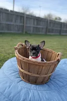 processed/d1700b69-e3e7-4a73-b411-e3296c068868/listing/0d649727-8fad-4d73-86db-c7a9ee0339d1/c3b2a64b-0daf-4c77-811f-2899967a81d5