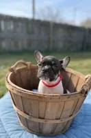 processed/d1700b69-e3e7-4a73-b411-e3296c068868/listing/0d649727-8fad-4d73-86db-c7a9ee0339d1/c67e168e-001b-4819-a00e-8606ff4856e8