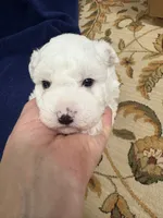 processed/d176b850-9a33-4927-b0ce-109b2c0dccef/listing/081014ac-0b20-4e13-a48e-a4c81f42c0b9/481857f9-37d0-4c5c-a496-c0e1688bb2c8