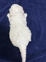 processed/d176b850-9a33-4927-b0ce-109b2c0dccef/listing/081014ac-0b20-4e13-a48e-a4c81f42c0b9/5dd7599f-1f72-4a7a-bd6a-7d3043bfcbf4