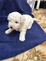 processed/d176b850-9a33-4927-b0ce-109b2c0dccef/listing/081014ac-0b20-4e13-a48e-a4c81f42c0b9/882bb0ac-8b18-475e-9881-98151bc6e8c7