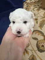 processed/d176b850-9a33-4927-b0ce-109b2c0dccef/listing/081014ac-0b20-4e13-a48e-a4c81f42c0b9/9ef11161-ed9a-494c-8f30-fad21f778561