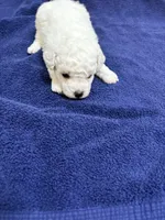 processed/d176b850-9a33-4927-b0ce-109b2c0dccef/listing/27a13077-1f3b-4687-be0b-90ec445c399a/5443288d-51b6-4351-a762-804985fad528