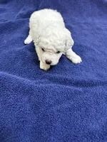 processed/d176b850-9a33-4927-b0ce-109b2c0dccef/listing/27a13077-1f3b-4687-be0b-90ec445c399a/e0aef2e5-06dd-46ba-acc2-2932c2770b60